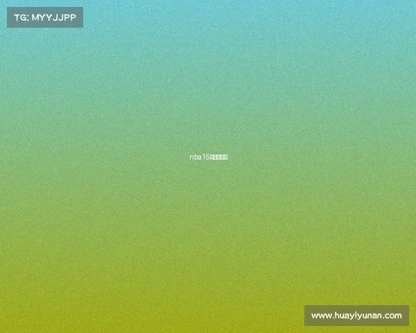 nba15年火箭阵容