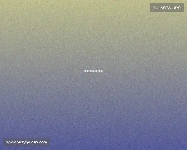 荷乙赛事特点、荷乙的比赛 荷乙赛事特点、荷乙的比赛